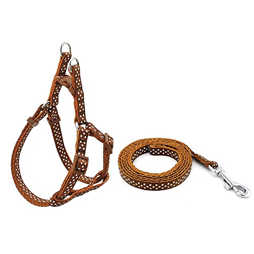 SMALLLEE_LUCKY_STORE 12"-18" Nylon Pet Dog Polka Dots Strap Harness Leash Set, Small, Brown von smalllee_lucky_store