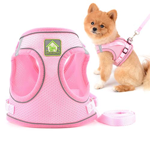 SMALLLEE_LUCKY_STORE Hundegeschirr und Leine, weiches Netzgewebe, für kleine Hunde und Katzen, reflektierend, für Outdoor-Training, Rosa, Größe XS von smalllee_lucky_store