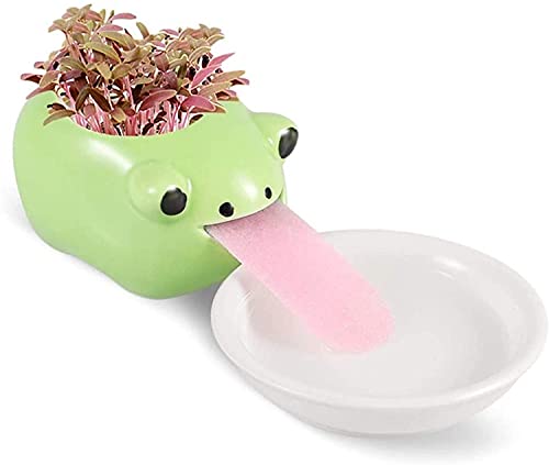 smartlife peropon Trinken Tier übertopf süß Tier Zunge blumentopf Keramik selbst gießen viecher Keramik - kreaturen (Frog) von SmartLife