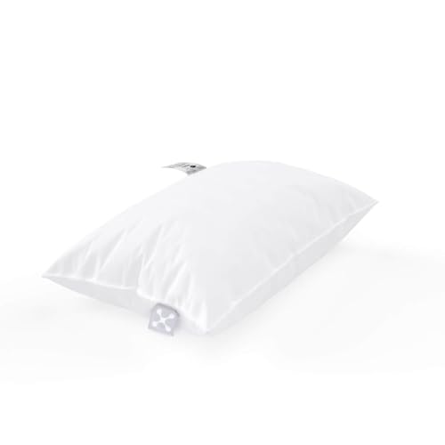 smart® Basic Pillow 30 x 50 cm I Made in Germany I Allergiker geeignet (Nomite) I stützend und ergonomisch I Öko-Tex 100 Klasse 1 I 100% Baumwolle von smartsleep