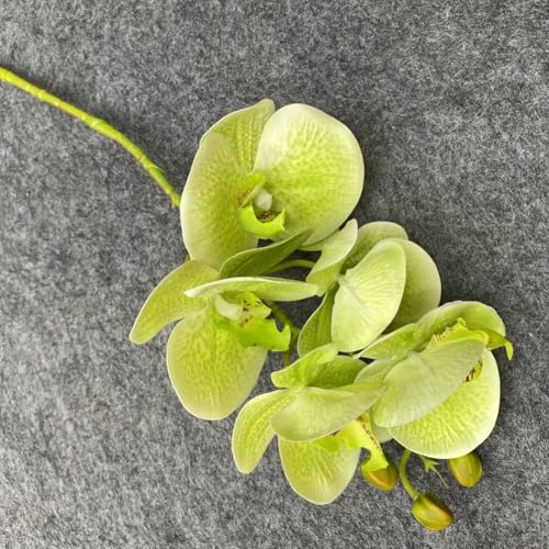 Kunstvolle künstliche Blumen Schmetterlinge atemberaubende Orchidee Dekor für Zuhause und Veranstaltungen (1) von snowchecking