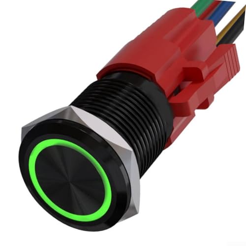 Snowchecking Drucktastenschalter, 12 V, Metall, 22 mm, mit LED-Licht, selbstrückstellend, geeignet für Bedienfelder und Fahrzeugmodifikationen (grün) von snowchecking
