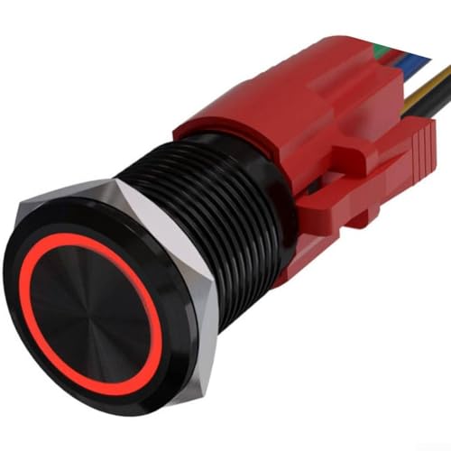 Snowchecking Drucktastenschalter, 12 V, Metall, 22 mm, mit LED-Licht, selbstrückstellend, geeignet für Bedienfelder und Fahrzeugmodifikationen (rot) von snowchecking