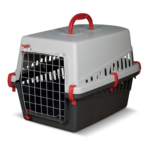 Snugsy Transportbox Katze Katzentransportbox - Flugzeugbox Katzenbox - Metalltür - Leicht 1,14 kg - Rot 50 x 33 x 32 cm Snugsy Transportbox Katze Katzentransportbox - Flugzeugbox Katzenbox - Metalltür - Leicht 1,14 kg - Rot 50 x 33 x 32 cm von snugsy