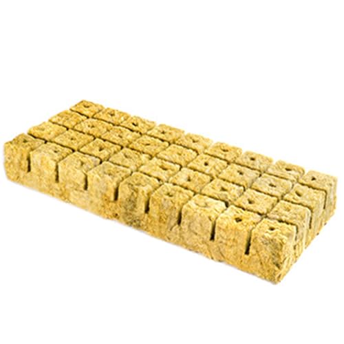 sodeber Steinwolle Hydrokultur Grow Media Cubes Garten Sämlingsblock Wasserzucht Aussaat Keimung Kultur Substrat von sodeber