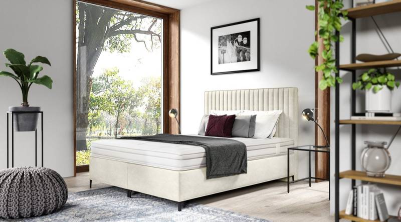 AN-MOEBEL4U Boxspringbett VIVIEN Taschenfederkernmatratze mit 10 cm hohen Füßen, inklusive Matratze von AN-MOEBEL4U