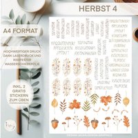 Wasserschiebefolie | Kerzentattoos Herbst 4 Din A von sofleurDesign