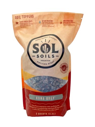 Sol Soils Künstliche Pflanze – Kona Grey Topper, 2 Quarts, für Heimdekoration von sol soils