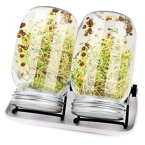 sorliva Sprossenglas Keimglas 2er Set 1000ML Sprossen Keimgerät mit Deckel Ständer und Abtropfschale Keimling Sprouter für Sprossenzucht Sprossen Microgreen Alfalfa Samen Sprouting Jar Kit von sorliva