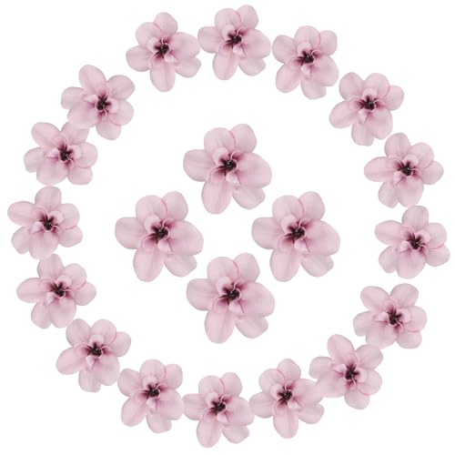 sourcing map Künstliche Cattleya-Blumenköpfe, künstliche Cattleya-Köpfe, Großpackung künstliche Blumen für selbstgemachte Hochzeitssträuße, Tafelaufsätze, Party, Heimdekoration, Herbstviolett, 20 sourcing map Künstliche Cattleya-Blumenköpfe, künstliche Cattleya-Köpfe, Großpackung künstliche Blumen für selbstgemachte Hochzeitssträuße, Tafelaufsätze, Party, Heimdekoration, Herbstviolett, 20 von sourcing map