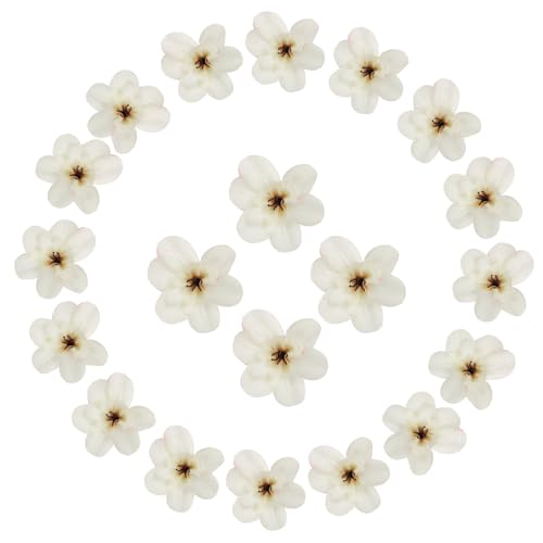 sourcing map Künstliche Cattleya-Blumenköpfe, künstliche Cattleya-Köpfe, Großpackung künstliche Blumen für selbstgemachte Hochzeitssträuße, Tafelaufsätze, Party, Heimdekoration, Herbstweiß, 20 Stück sourcing map Künstliche Cattleya-Blumenköpfe, künstliche Cattleya-Köpfe, Großpackung künstliche Blumen für selbstgemachte Hochzeitssträuße, Tafelaufsätze, Party, Heimdekoration, Herbstweiß, 20 Stück von sourcing map