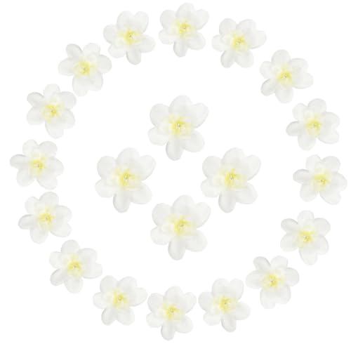 sourcing map Künstliche Cattleya-Blumenköpfe, künstliche Cattleya-Köpfe, Großpackung künstliche Blumen für selbstgemachte Hochzeitssträuße, Tafelaufsätze, Party, Heimdekoration, Cremeweiß, 20 Stück sourcing map Künstliche Cattleya-Blumenköpfe, künstliche Cattleya-Köpfe, Großpackung künstliche Blumen für selbstgemachte Hochzeitssträuße, Tafelaufsätze, Party, Heimdekoration, Cremeweiß, 20 Stück von sourcing map