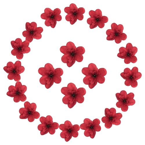 sourcing map Künstliche Cattleya-Blumenköpfe, künstliche Cattleya-Köpfe, Großpackung künstliche Blumen für selbstgemachte Hochzeitssträuße, Tafelaufsätze, Party, Heimdekoration, Herbstrot, 20 Stück sourcing map Künstliche Cattleya-Blumenköpfe, künstliche Cattleya-Köpfe, Großpackung künstliche Blumen für selbstgemachte Hochzeitssträuße, Tafelaufsätze, Party, Heimdekoration, Herbstrot, 20 Stück von sourcing map