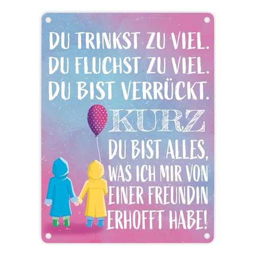 Beste Freundin Metallschild in 15x20 cm mit verrücktem Spruch Geschenkidee für die beste Freundin die schon fast zur Familie gehört um ihr zu zeigen wie lieb man sie hat von speecheese