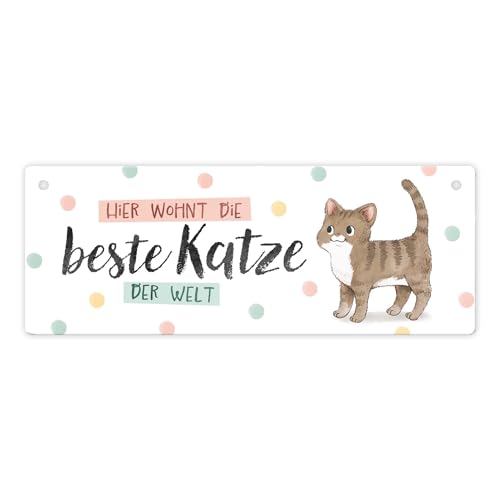 Beste Katze der Welt Metallschild mit brauner Katze und Spruch Katzenbesitzer süße Schild Haustier Blechschild Dekoration Katzenmensch Geburtstagsgeschenk Aluminiumblech Schild von speecheese