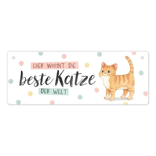 Beste Katze der Welt Metallschild mit oranger Katze und Spruch Katzenbesitzer süße Schild Haustier Blechschild Dekoration Katzenmensch Geburtstagsgeschenk Aluminiumblech Schild von speecheese