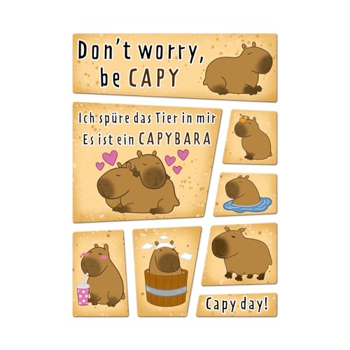 Capybara Magnet Set mit Spruch Dont Worry be capy Capybara Magnet Tiermagnet Kühlschrankmagnet Trendtier niedlich Capy Life von speecheese