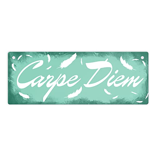 Carpe Diem Nutze den Tag Metallschild L in 10,5x28cm in grün schönes Blechschild für Innen und Außen um dein Lebensmotto mit deinen Freunden zu teilen und zu leben Metallschild L von speecheese