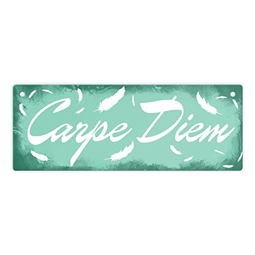 Carpe Diem Nutze den Tag Metallschild L in 10,5x28cm in grün Carpe Diem Nutze den Tag Metallschild L in 10,5x28cm in grün von speecheese