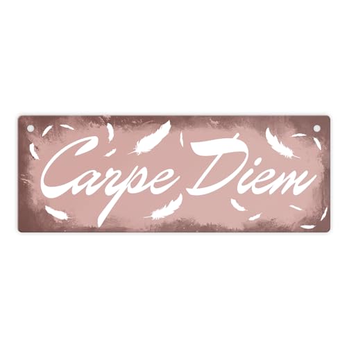 Carpe Diem Nutze den Tag Metallschild in braun schönes Blechschild für Innen und Außen um dein Lebensmotto mit deinen Freunden zu teilen und zu leben Carpe Diem Nutze den Tag Metallschild in braun schönes Blechschild für Innen und Außen um dein Lebensmotto mit deinen Freunden zu teilen und zu leben von speecheese