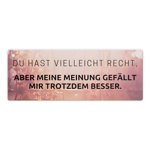 Du hast vielleicht Recht Metallschild Aber meine Meinung gefällt mir besser ein lustiges Schild für die Küche lustiger Spruch Kollegen Büro Motivationsschild Motivation Blechschild von speecheese