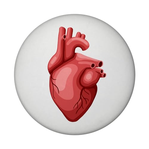 Herzmuskel Magnet rund Herz Magnet rund für den Kühlschrank zum Befestigen von Fotos, Postkarten oder Haushaltsplan von speecheese