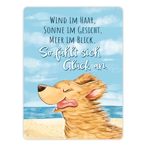 Hund Metallschild XL in 21x28 cm mit Spruch Wind Sonne Meer - pures Glück Gute Laune Garant Positiv Inspirierendes Hund Metallschild XL in 21x28 cm - Strand und Brise Hund Metallschild XL in 21x28 cm mit Spruch Wind Sonne Meer - pures Glück Gute Laune Garant Positiv Inspirierendes Hund Metallschild XL in 21x28 cm - Strand und Brise von speecheese