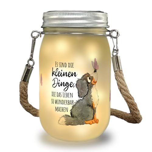 Hund Solarlicht mit Spruch Die kleinen Dinge machen das Leben so wunderbar ein niedliches Licht für Hundebesitzer Motiv Dekolampe Einmachglas Frauen Bernersennen Dekolicht von speecheese