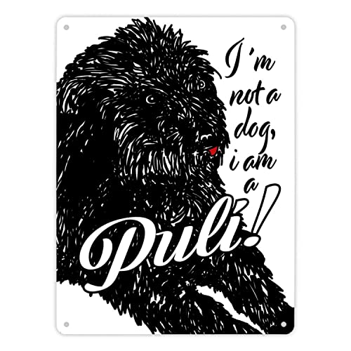 I'm not a dog I am a Puli! Metallschild XL in 21x28 cm in schwarz niedliches Schild mit Puli Motiv Geschenk für Hundeliebhaber oder Menschen die sich für ungarische Rassen von speecheese