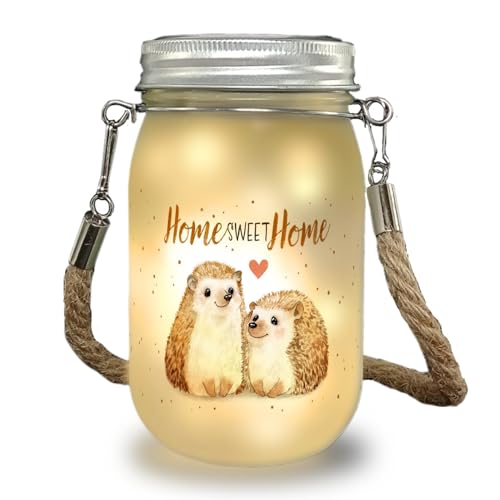 Igel Solarlicht mit Spruch Home Sweet Home ein schönes Dekolicht für die Herbstzeit Frauen Dekolampe Einmachglas Solar Natur Deko Aquarell Zeichnung Wald Herbst Terrassenlicht von speecheese