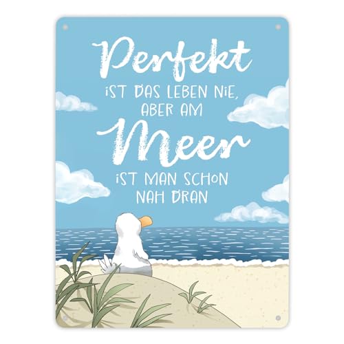 Möwe am Strand Metallschild XL in 21x28 cm mit Spruch Leben am Meer fast perfekt Norden Ankerplatz Urlaub Reise Küstenkind Küste Strandurlaub Möwe am Strand Metallschild XL in 21x28 cm mit Spruch Leben am Meer fast perfekt Norden Ankerplatz Urlaub Reise Küstenkind Küste Strandurlaub von speecheese