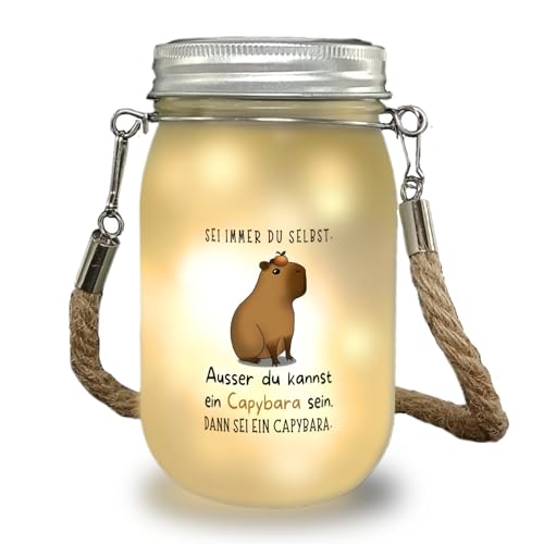 Sei immer du selbst - ausser du kannst ein Capybara sein Solarlicht ein buntes Dekolicht für die Terrasse Solarlicht Motiv Dekolampe Capybara Strick Henkel Wasserschwein Esstisch von speecheese