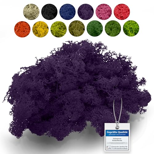sphagnum-shop.com Echte Rentierflechte in Violett 200 gr für Modellbau Basteln Deko Islandmoos konserviert von sphagnum-shop.com