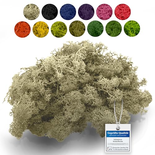 sphagnum-shop.com Echtes Deko Moos Rentierflechte 100 gr in Creme für Modellbau Basteln Islandmoos konserviert von sphagnum-shop.com