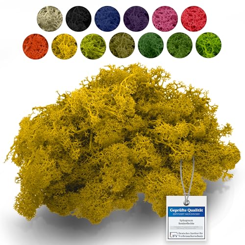 sphagnum-shop.com Echtes Deko Moos Rentierflechte 100 gr in Gelb für Modellbau Basteln Islandmoos konserviert sphagnum-shop.com Echtes Deko Moos Rentierflechte 100 gr in Gelb für Modellbau Basteln Islandmoos konserviert von sphagnum-shop.com