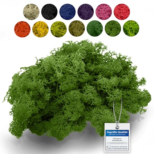 sphagnum-shop.com Echtes Deko Moos Rentierflechte 100 gr in Naturgrün für Modellbau Basteln Islandmoos konserviert von sphagnum-shop.com