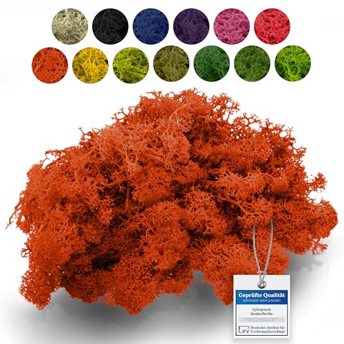 sphagnum-shop.com Echtes Deko Moos Rentierflechte 100 gr in Orange für Modellbau Basteln Islandmoos konserviert von sphagnum-shop.com