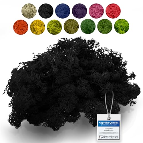sphagnum-shop.com Echtes Deko Moos Rentierflechte 100 gr in Schwarz für Modellbau Basteln Islandmoos konserviert von sphagnum-shop.com