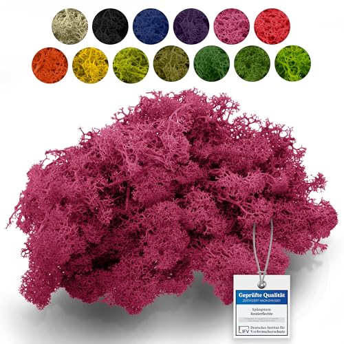 sphagnum-shop.com Echtes Deko Moos Rentierflechte in Fuchsia 1000 gr für Modellbau Basteln Islandmoos sphagnum-shop.com Echtes Deko Moos Rentierflechte in Fuchsia 1000 gr für Modellbau Basteln Islandmoos von sphagnum-shop.com