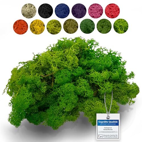 sphagnum-shop.com Echtes Deko Moos Rentierflechte in Hellgrün 1000 gr für Modellbau Basteln Islandmoos von sphagnum-shop.com