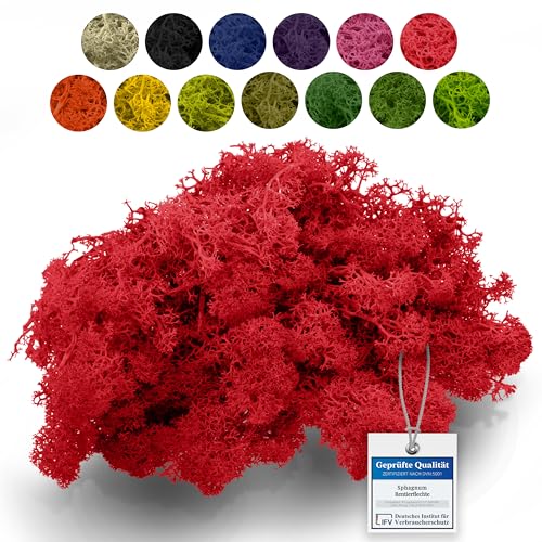 sphagnum-shop.com Echtes Deko Moos Rentierflechte in Rot 500 gr für Modellbau Basteln Islandmoos konserviert von sphagnum-shop.com