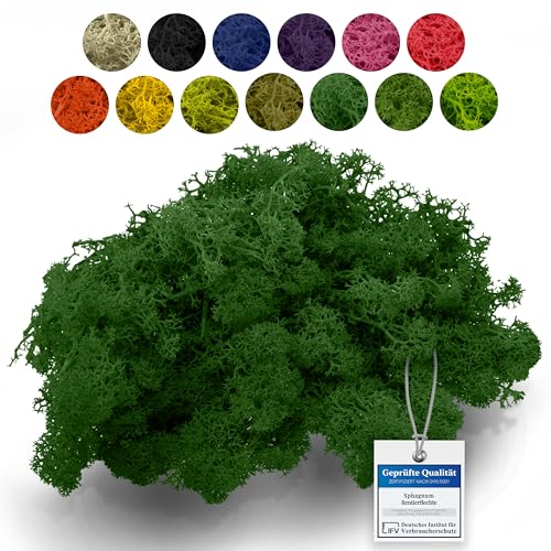 sphagnum-shop.com Echtes Deko Moos Rentierflechte in Forrest 500 gr für Modellbau Basteln Islandmoos von sphagnum-shop.com