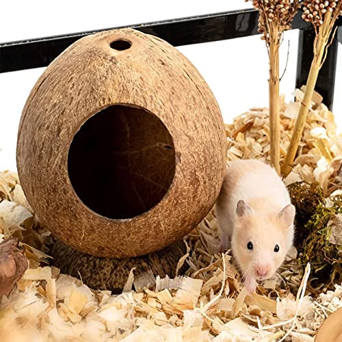 Hamsterkäfig Haustierversteck Nest Kokosnuss Hütte Bett Haus für Häschen Mäuse Frettchen Meerschweinchen Igel Eichhörnchen von sporful