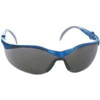 CYCLE Spiegel Ergonomic Schutzbrille von Jungheinrich PROFISHOP