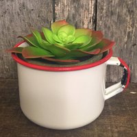 Emaillebecher Mit Künstlichem Sukkulenten von spunkandgrumpsjunk