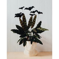 Filz-Fledermaus-Haus-Pflanzenpfähle Für Niedliche Halloween-Dekoration von squeezeandthankyou