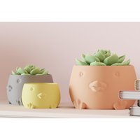 Süßer Pflanzentopf in Entenform - Für Mehr Charme Deinem Zuhause von steimus