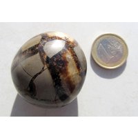 Septarie, Septaria Handschmeichler Jumbo 65 G von steindepot