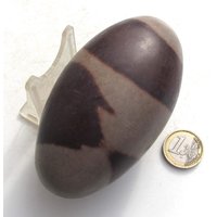 Shiva Lingam, Heiliger Stein Aus Indien, 100 Mm, 514 G Shiva Lingam, Heiliger Stein Aus Indien, 100 Mm, 514 G von steindepot