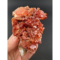 Gemmy Deep Red Vanadinite On Barite Cluster Collector Specimen From Morocco Mineral Gemstone von steingo